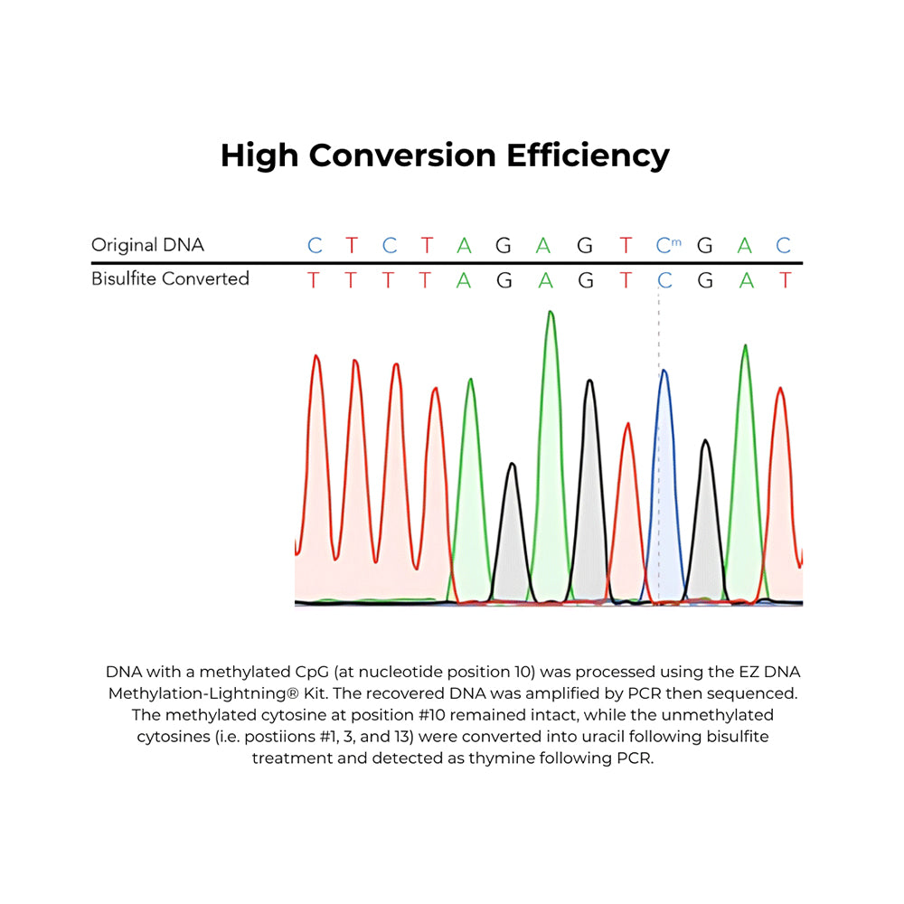 EZ-96 DNA Methylation-Lightning Kit (Deep-Well) (2x96 rxns.)