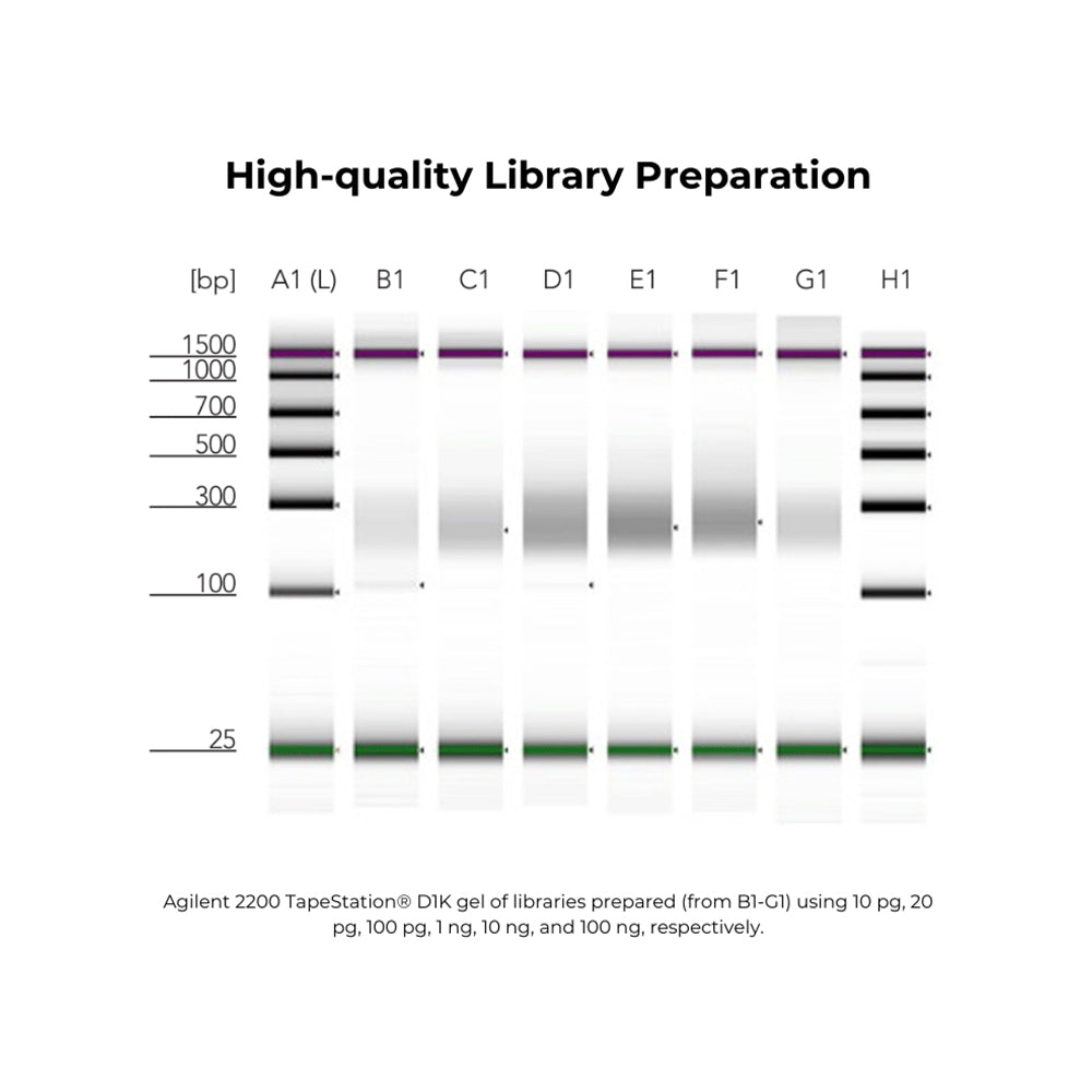 Pico Methyl-Seq™ Library Prep Kit (25 preps.)