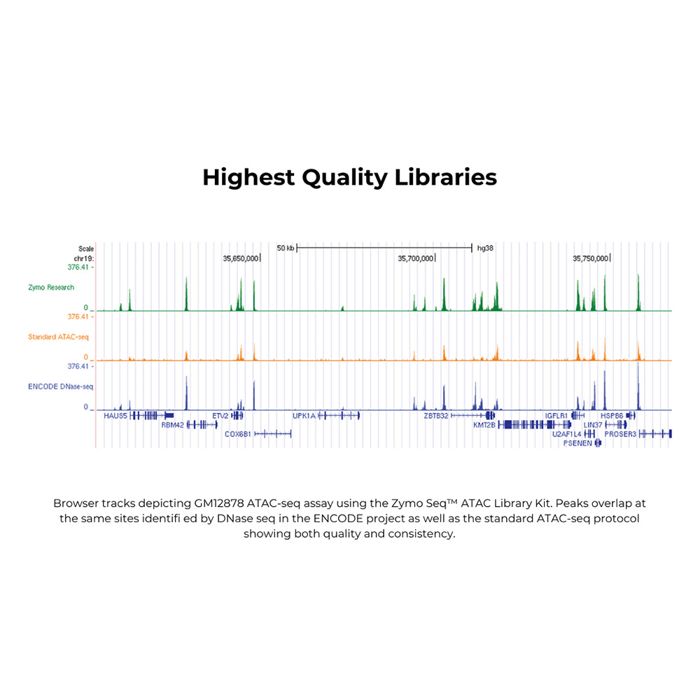 Zymo-Seq ATAC Library Kit