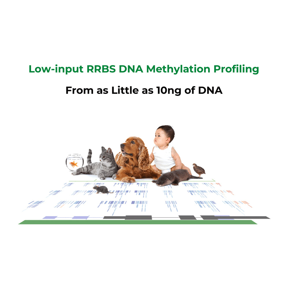 Zymo-Seq RRBS Library Kit (24 preps)