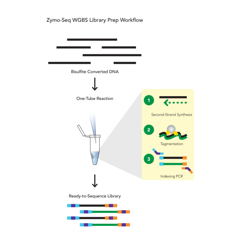 Zymo-Seq WGBS Library Kit
