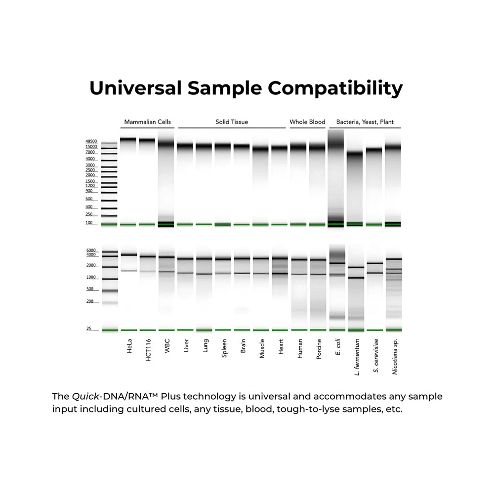 Quick DNA/RNA MiniPrep Plus Kit (10 Preps.)