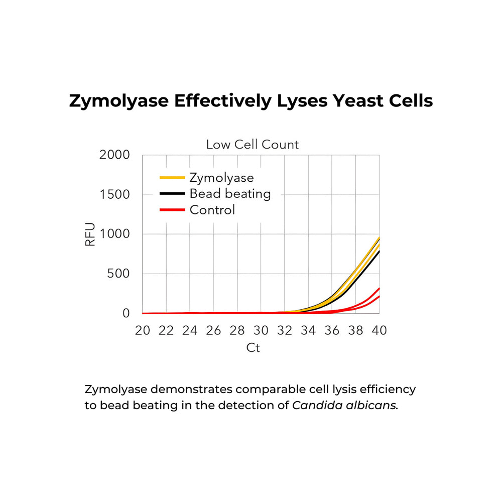 R-Zymolyase (1000 Units Lyophilized) w/  Storage Buffer (500 µl)