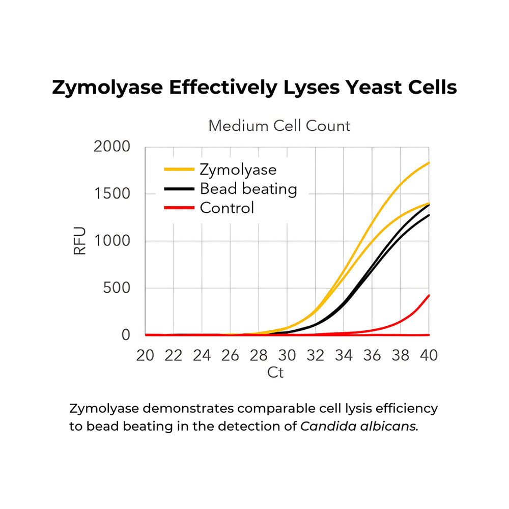 R-Zymolyase (1000 Units Lyophilized) w/  Storage Buffer (500 µl)