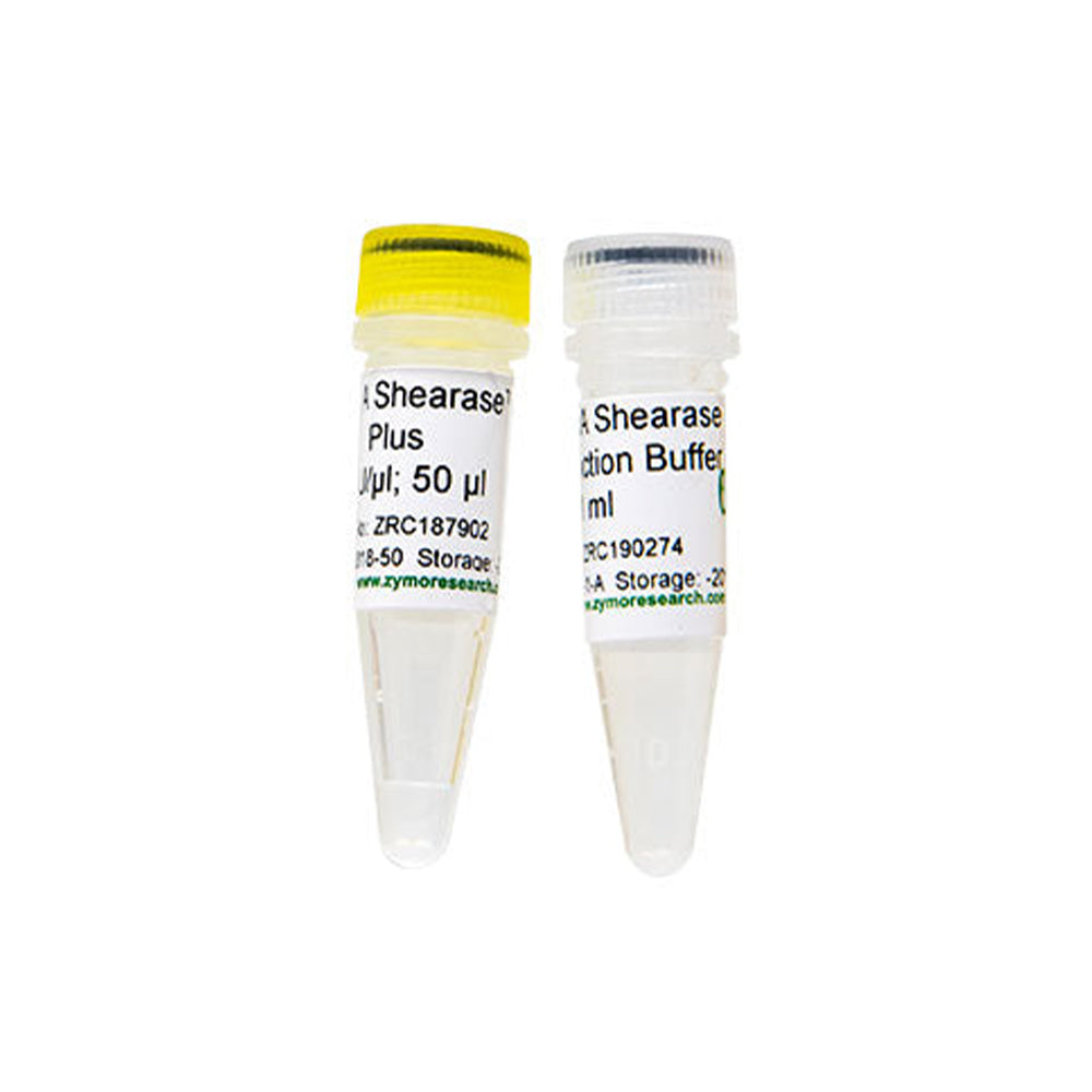 dsDNA Shearase™ Plus 50 U (1 U/ul)