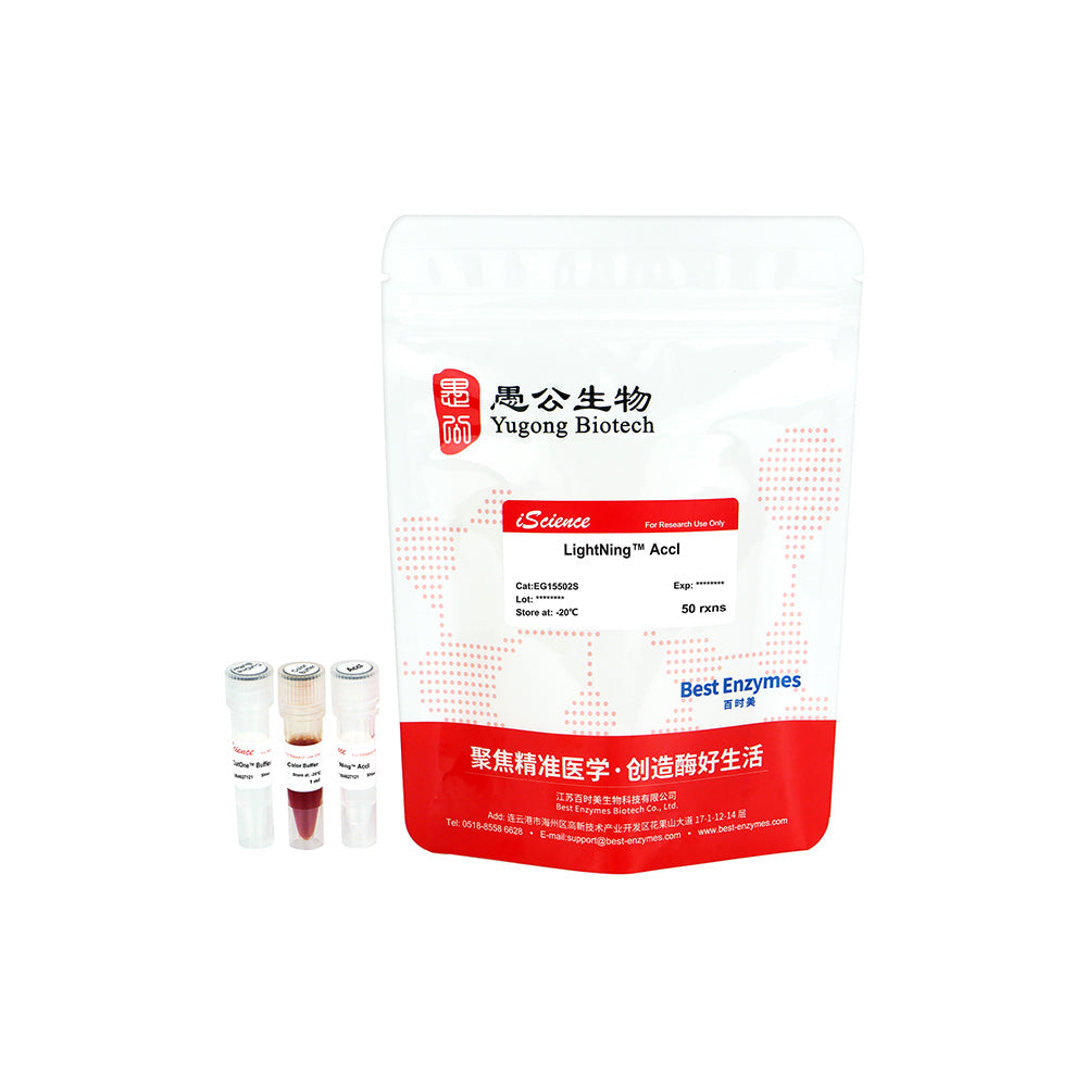 LightNing™ AccI Restriction Enzymes, 50 rxns, 1 rxn/μl