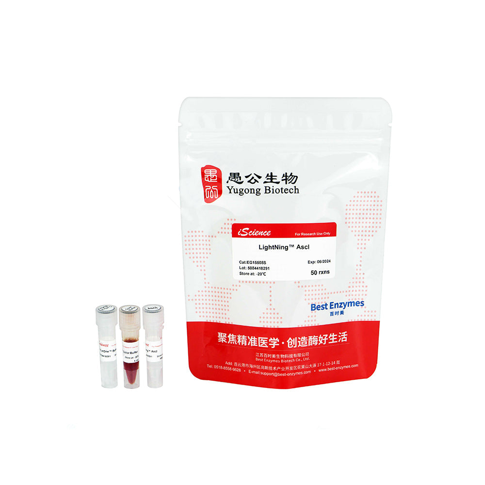 LightNing™ AscI Restriction Enzymes, 50 rxns, 1 rxn/μl