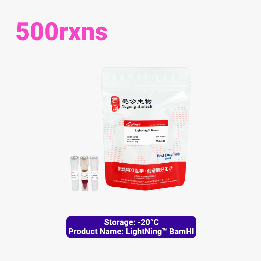 LightNing™ BamHI Restriction Enzymes, 500 rxns, 1 rxn/μl