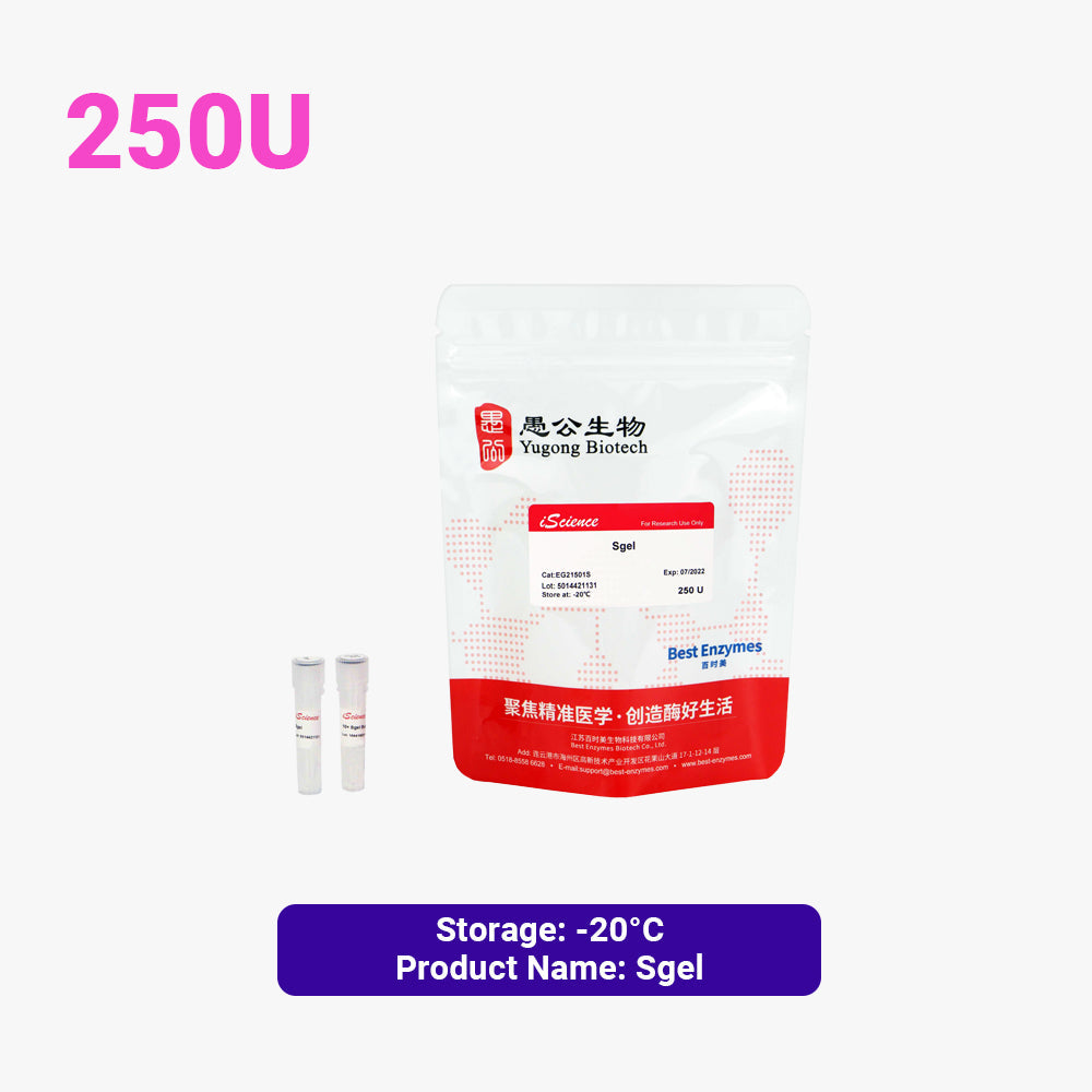 SgeI-Restriktionsenzyme, 250 U, 5 U/μl