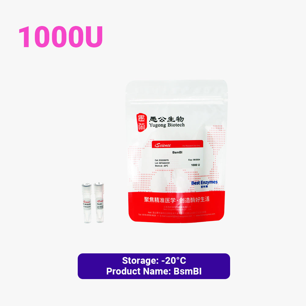 BsmBI Restriktionsenzyme, 1000 U, 10 U/μl