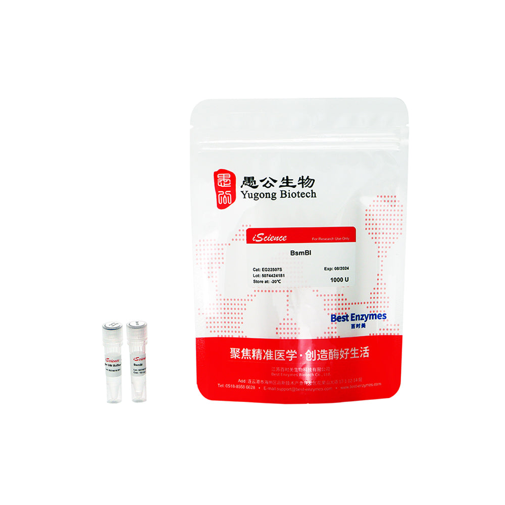 BsmBI Restriktionsenzyme, 200 U, 10 U/μl