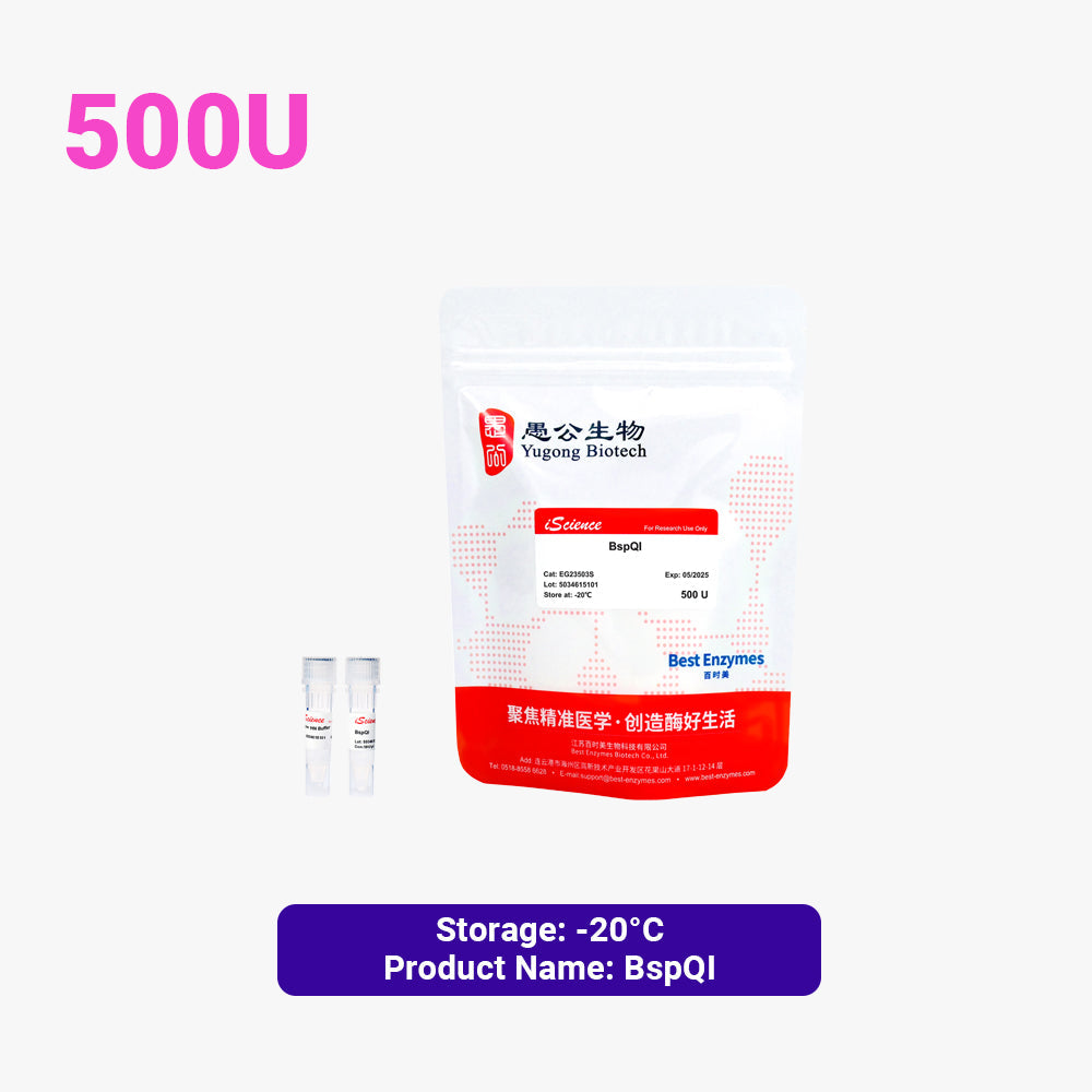 BspQI-Restriktionsenzyme, 500 U, 10 U/μl