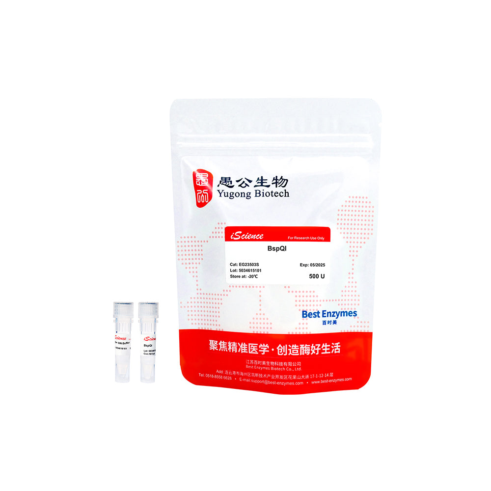 BspQI-Restriktionsenzyme, 500 U, 10 U/μl