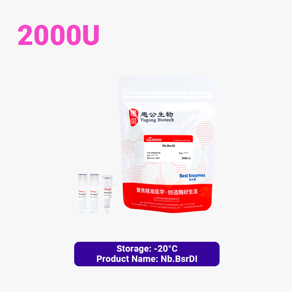 Nb.BsrDI-Restriktionsenzyme, 2000 U, 10 U/μl