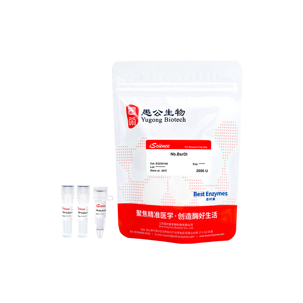 Nb.BsrDI-Restriktionsenzyme, 2000 U, 10 U/μl
