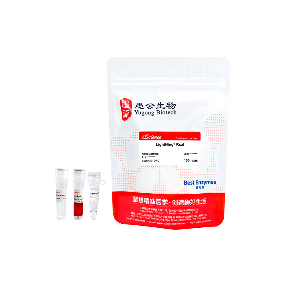 LightNing™ RsaI Restriktionsenzyme, 100 rxns, 1 rxn/μl