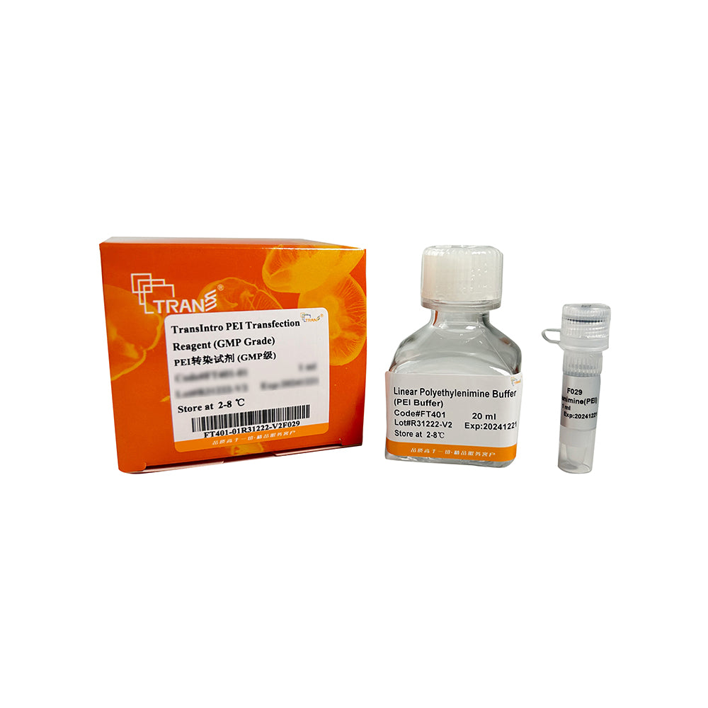 TransIntro® PEI-Transfektionsreagenz in GMP-Qualität – 10 ml