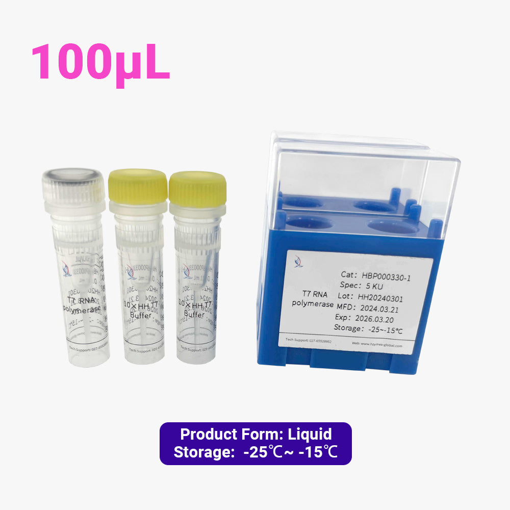 T7-RNA-Polymerase, 50 Einheiten/μL Aktivität, 100 μL