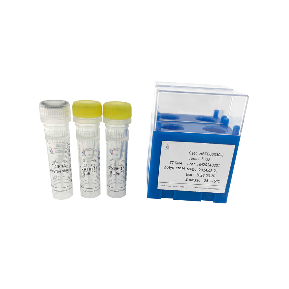 T7-RNA-Polymerase, 50 Einheiten/μL Aktivität, 100 μL