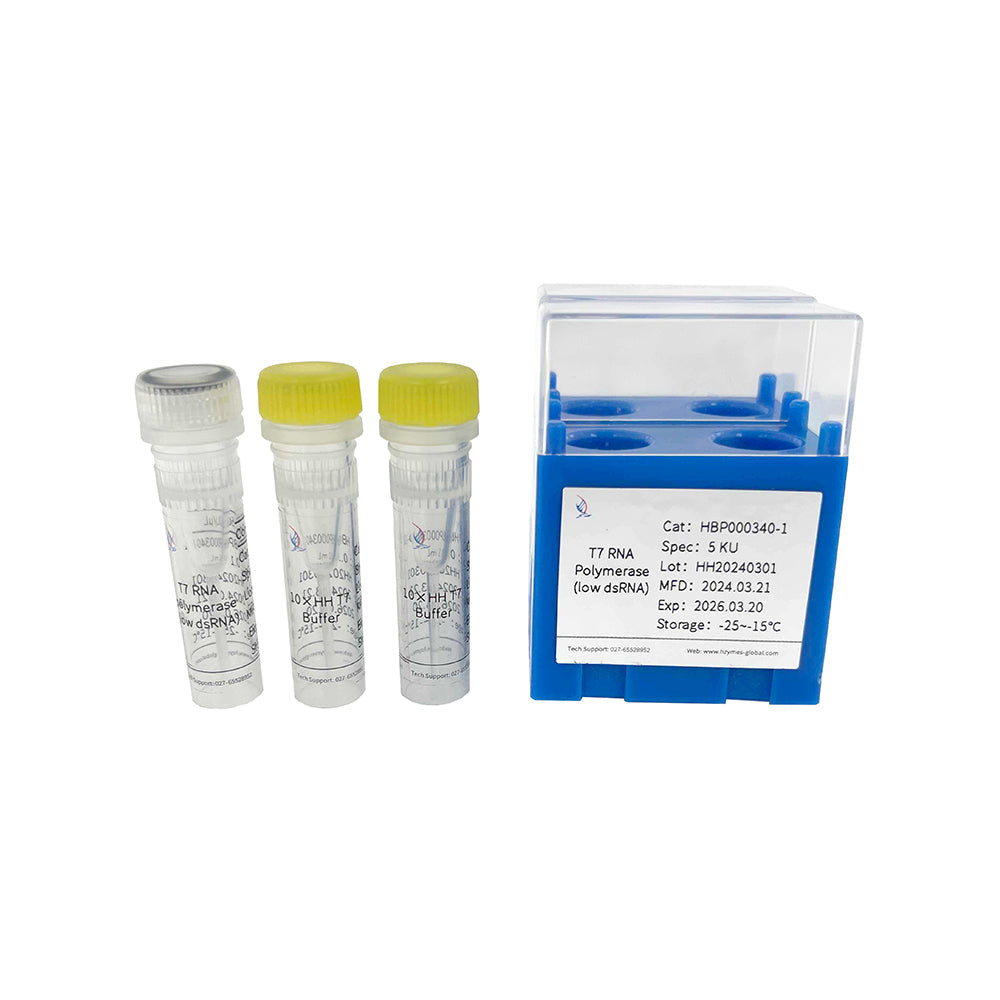 T7 RNA-Polymerase (niedrig dsRNA), 100 μL