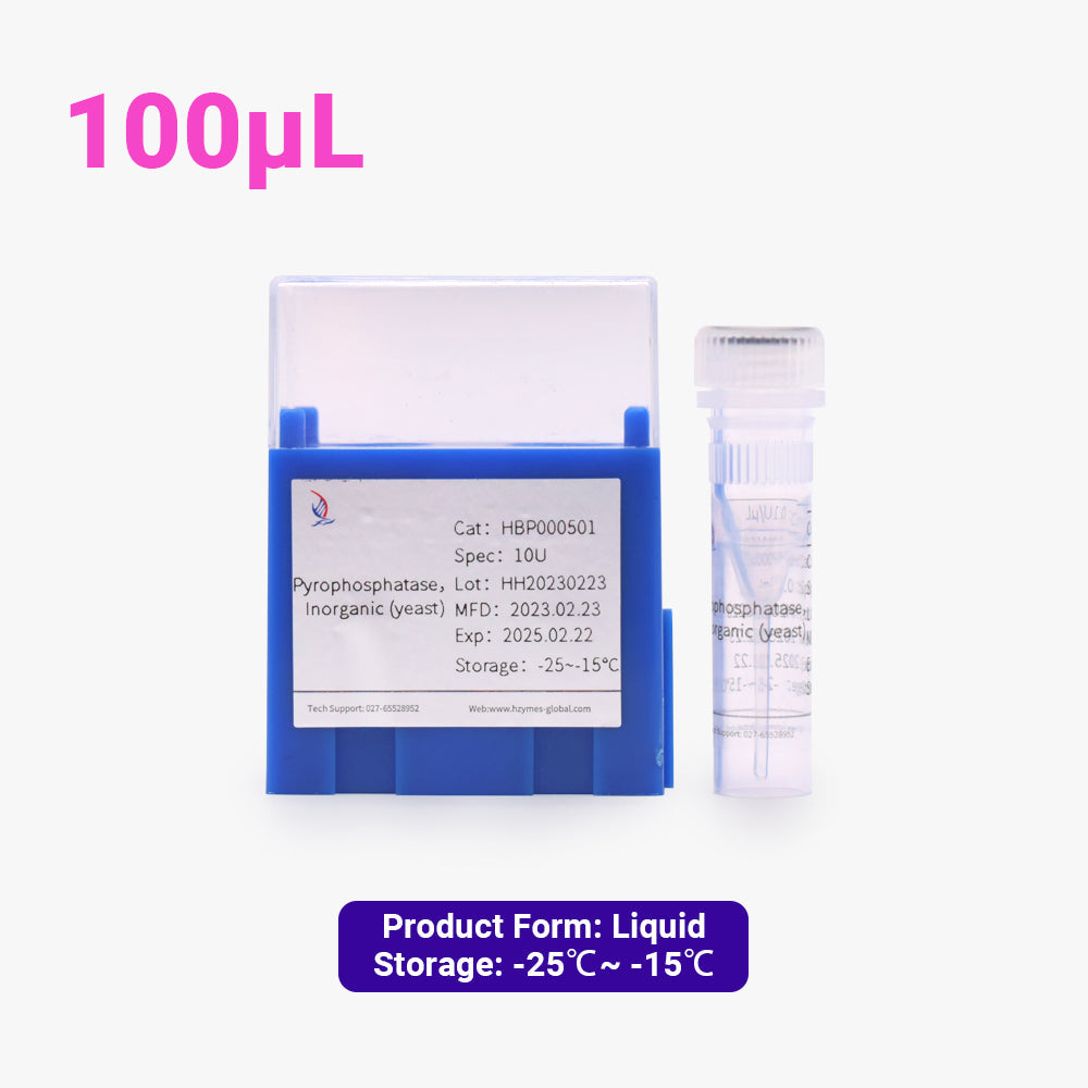 Anorganische Pyrophosphatase (Hefe) – 0,1 Einheiten/μL Aktivität, 100 μL