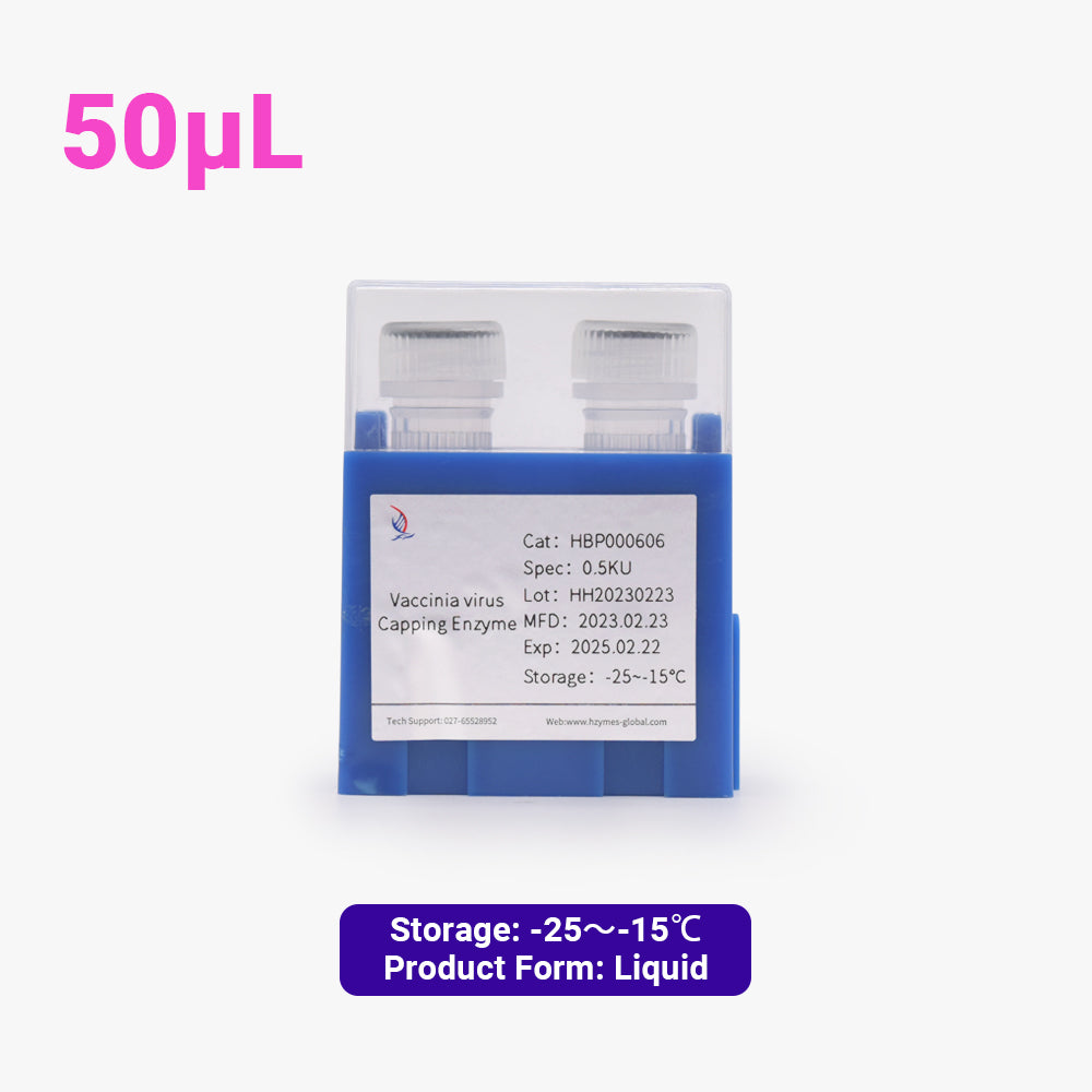 Vaccinia-Virus-Capping-Enzym, 10 Einheiten/μL Aktivität, 50 μL