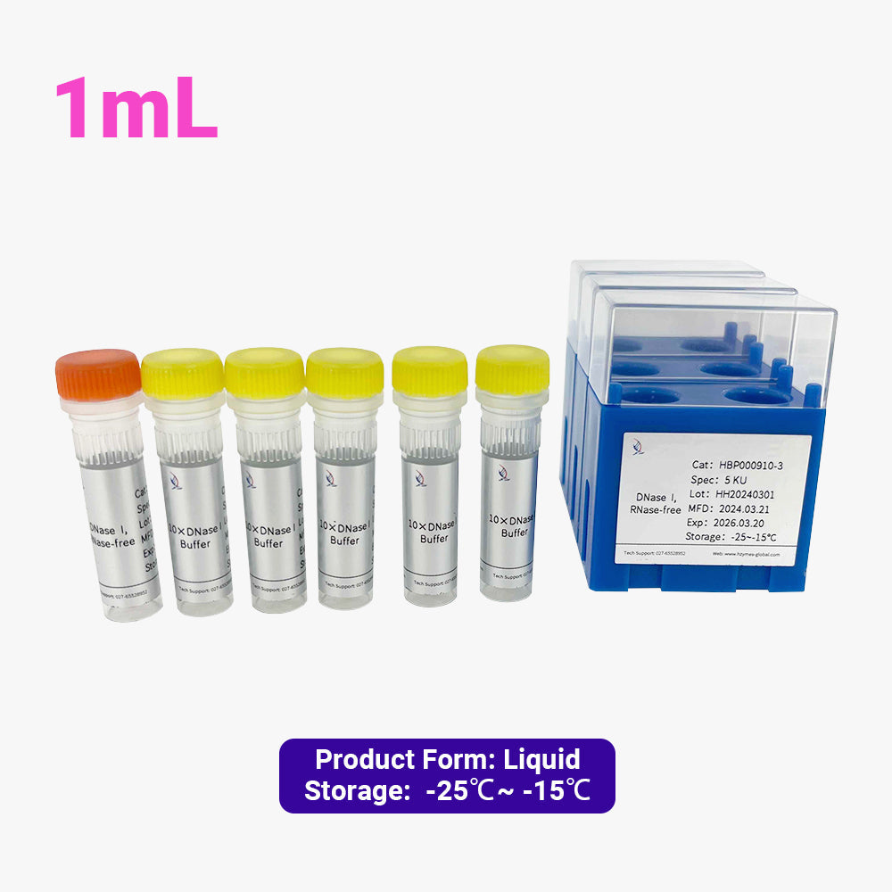 DNase I, 5 Einheiten/μL Aktivität, 1 mL