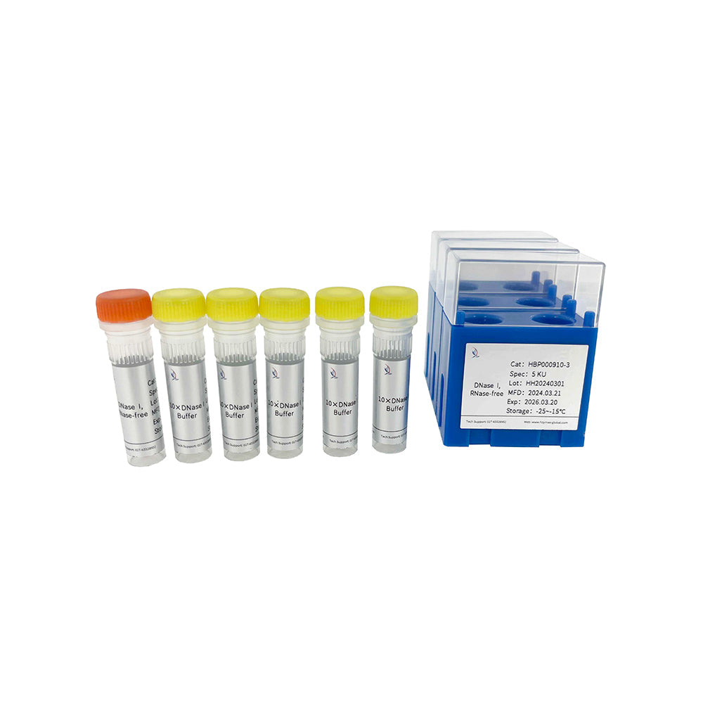 DNase I, 5 Einheiten/μL Aktivität, 1 mL