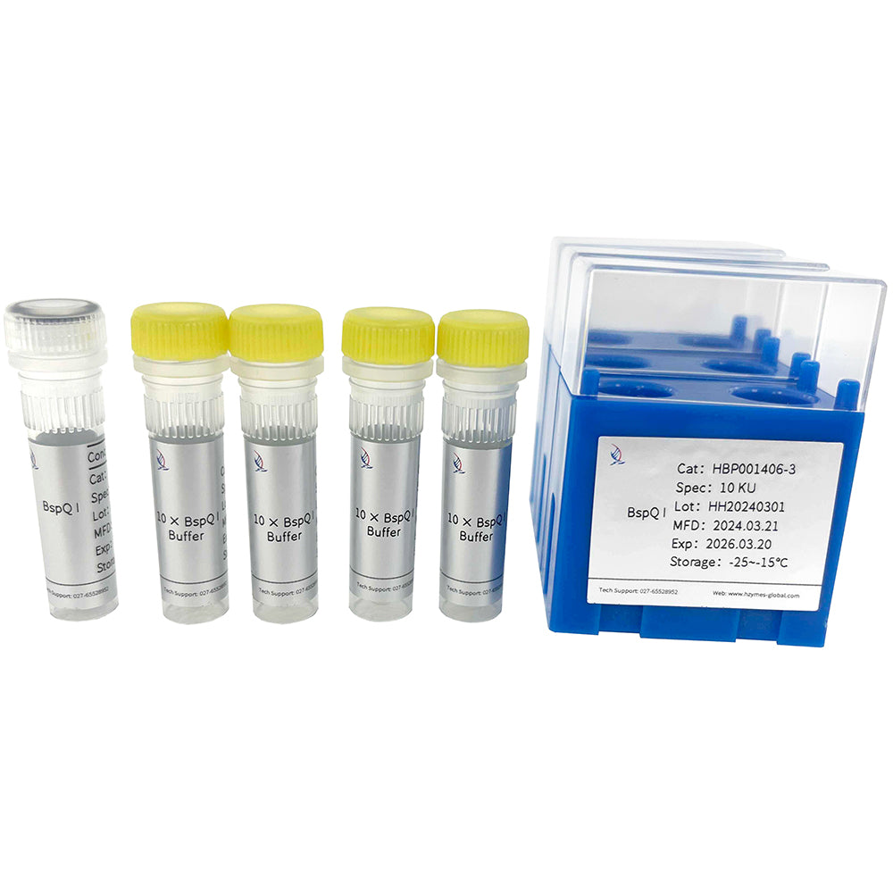 BspQI, 10 Einheiten/μL Aktivität, 1 mL