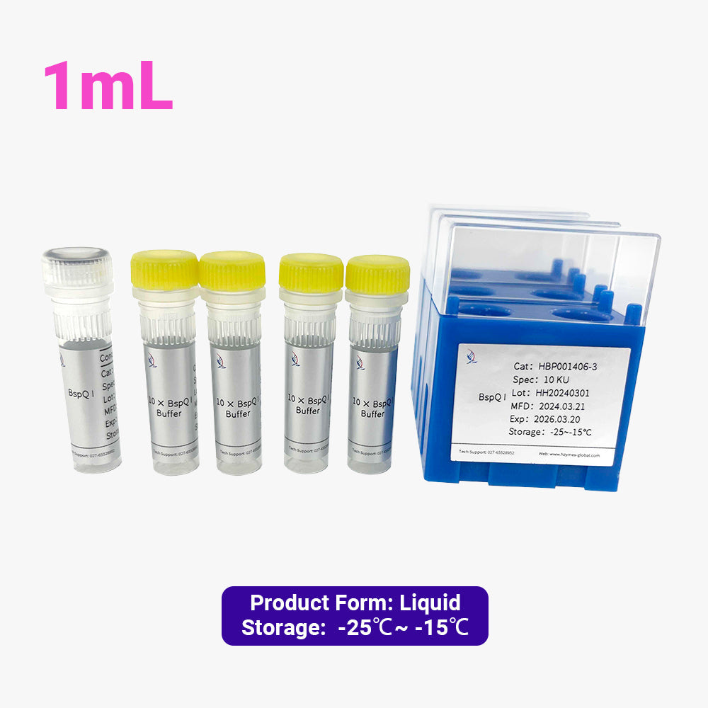 BspQI, 10 Einheiten/μL Aktivität, 1 mL
