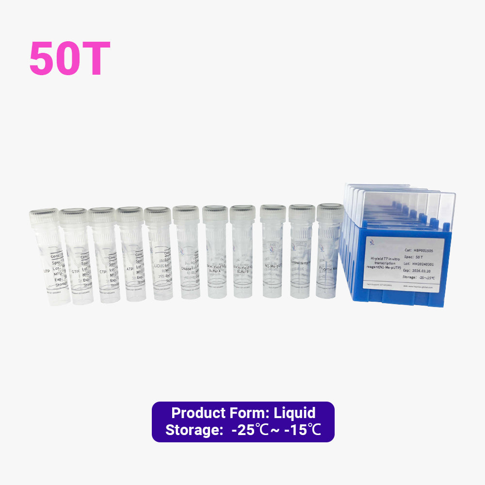 Hochergiebiges T7-In-vitro-Transkriptionsreagenz (N1-Me-pUTP)