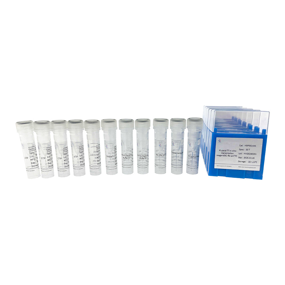 Hochergiebiges T7-In-vitro-Transkriptionsreagenz (N1-Me-pUTP)