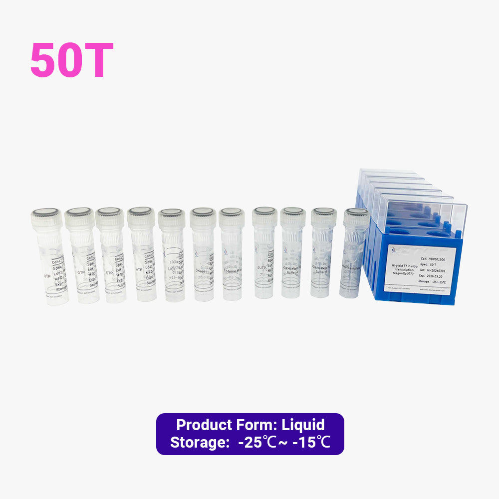 Hochergiebiges T7-In-vitro-Transkriptionsreagenz (pUTP)