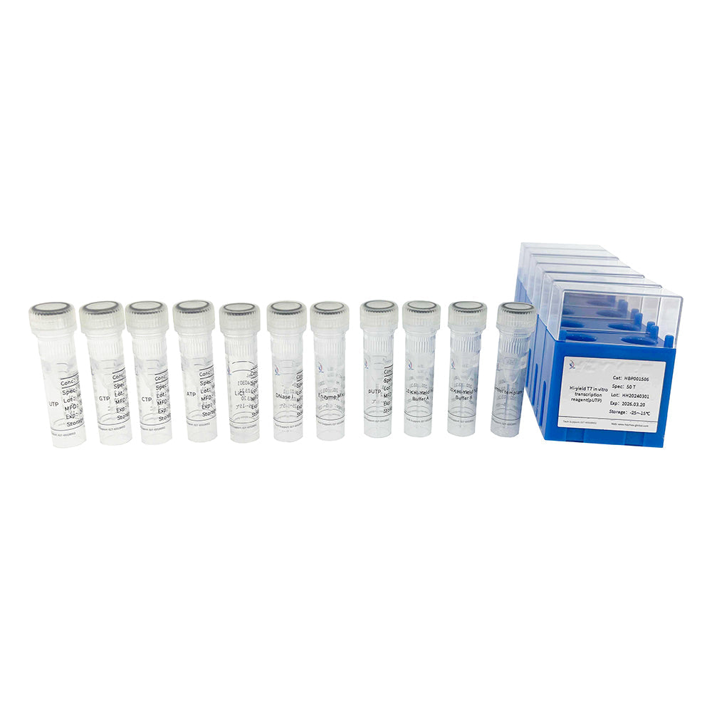 Hochergiebiges T7-In-vitro-Transkriptionsreagenz (pUTP)