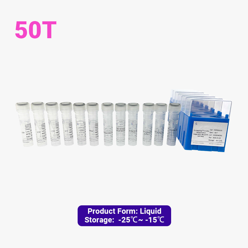 Co-Capping-T7-In-vitro-Transkriptionsreagenz (N1-Me-pUTP, CAP GAG)
