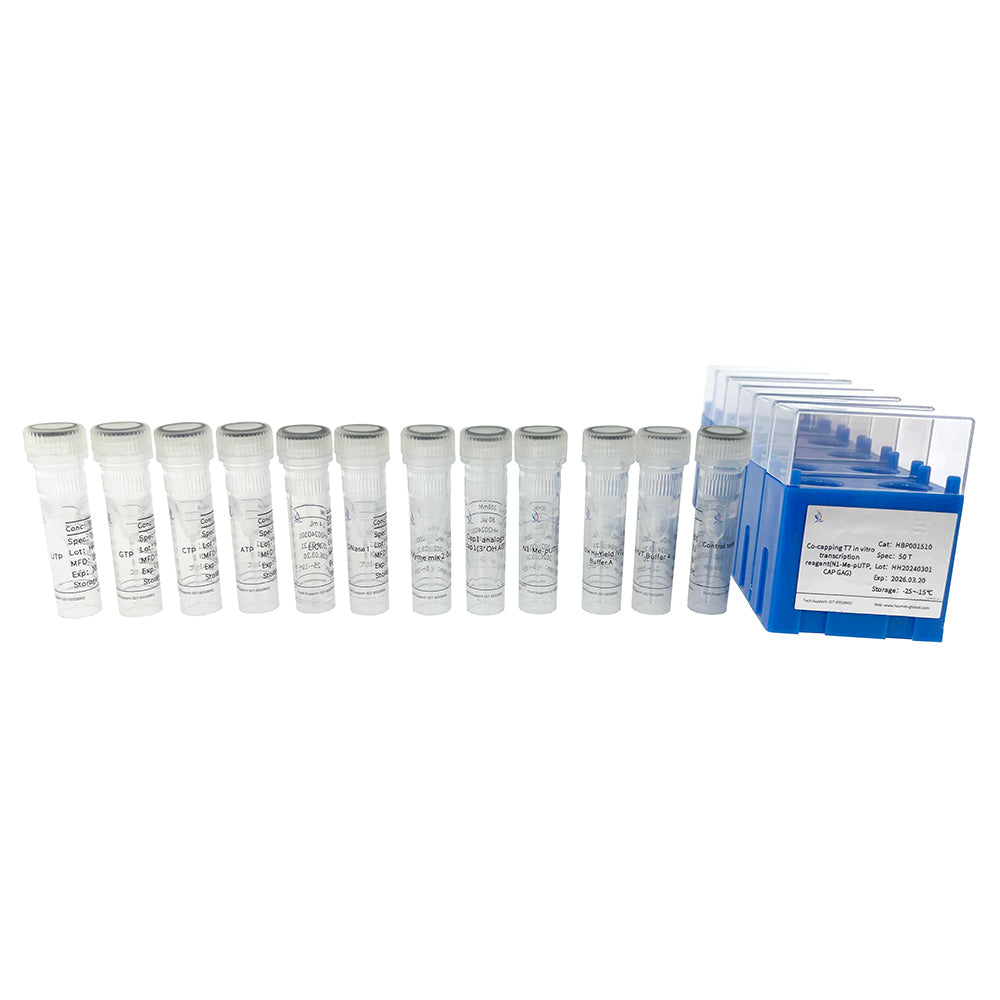 Co-Capping-T7-In-vitro-Transkriptionsreagenz (N1-Me-pUTP, CAP GAG)