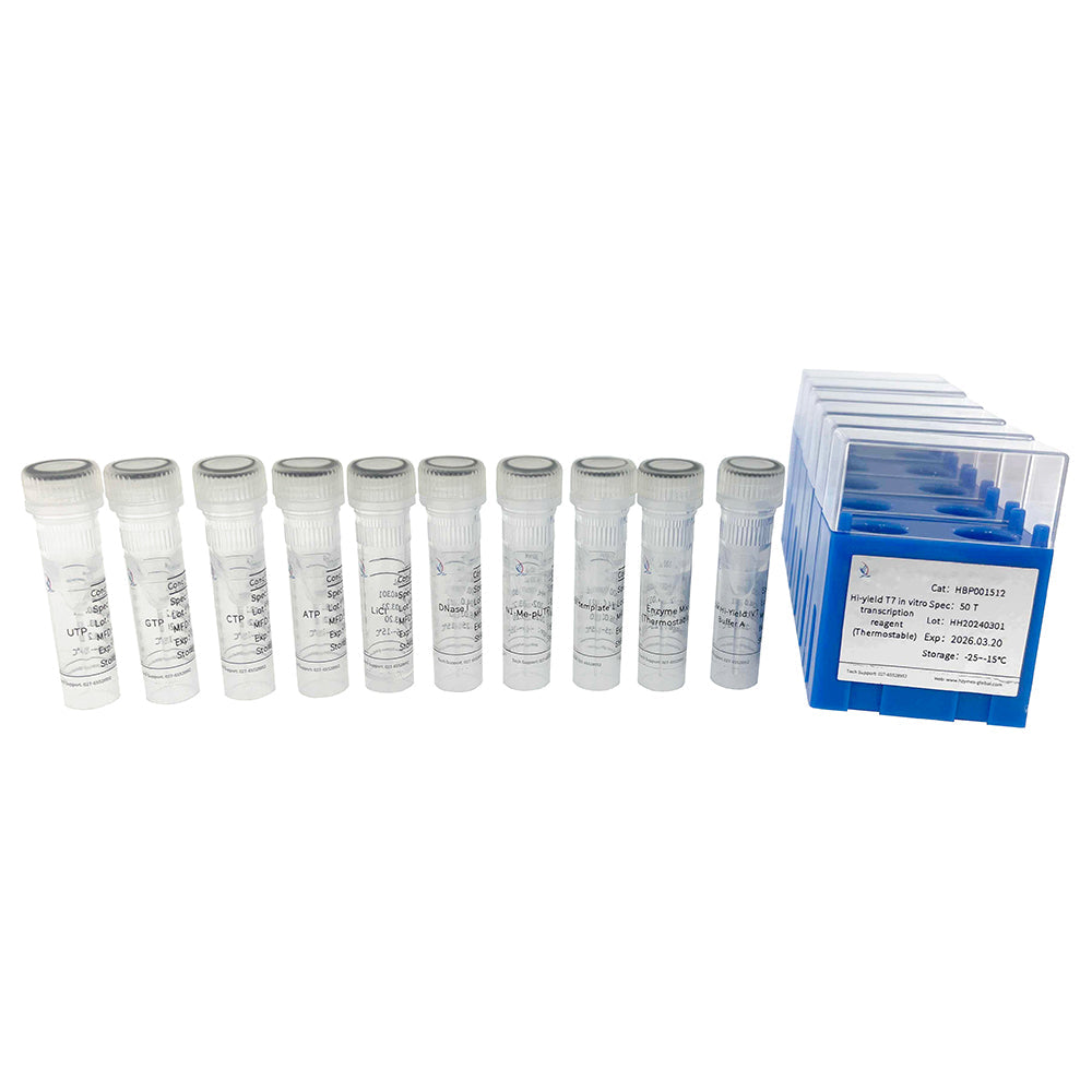Hochergiebiges T7 In-vitro-Transkriptionsreagenz (thermostabil)