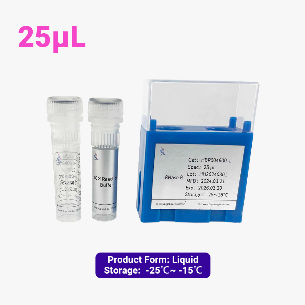 RNase R, 20 Einheiten/μL Aktivität, 25 μL