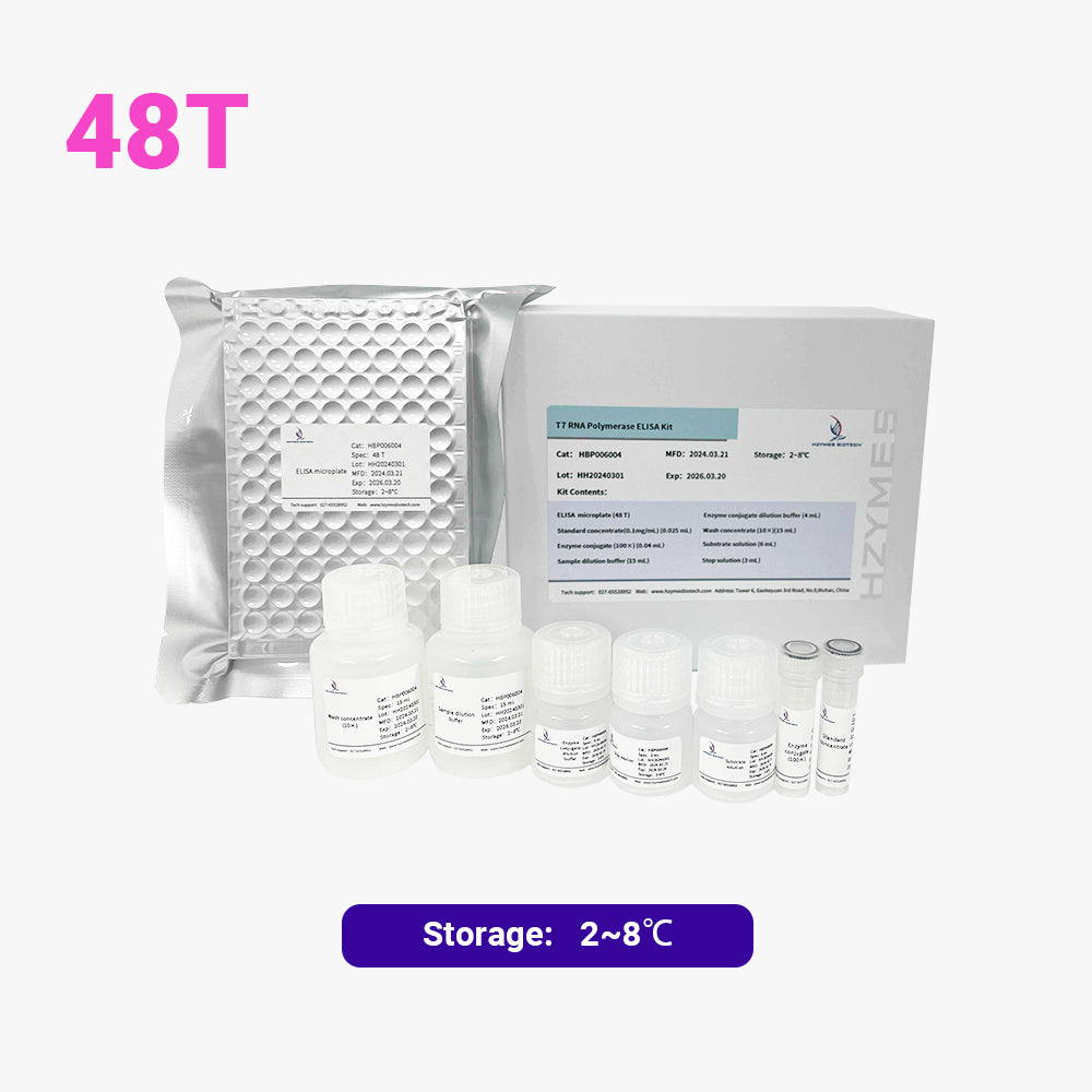 T7 RNA-Polymerase ELISA-Kit, 48 Tests