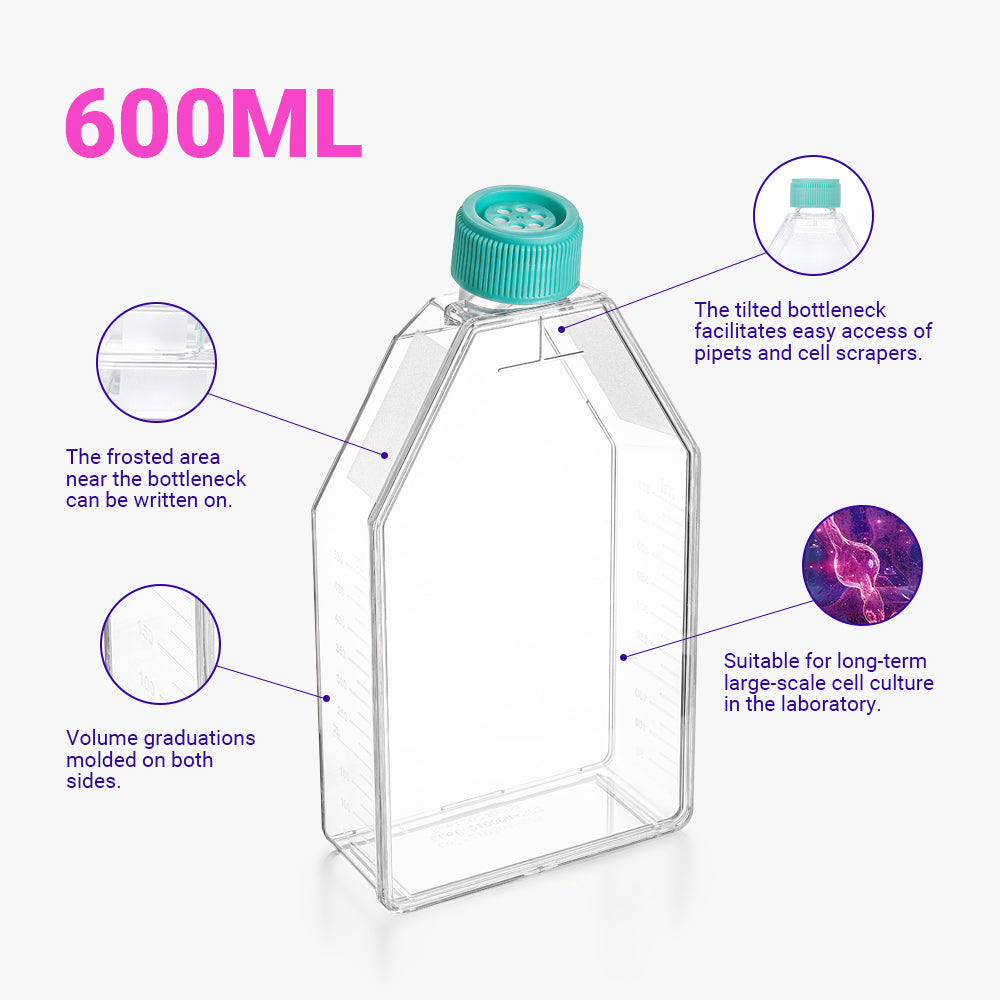 Zellkulturflaschen, 182 cm² Oberfläche, 600 ml Fassungsvermögen, Entlüftungskappe, TC-behandelt, steril