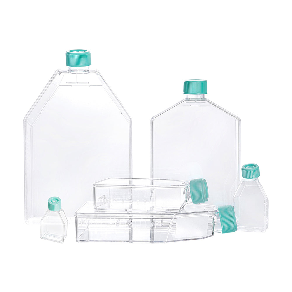Zellkulturflaschen, 25 cm² Oberfläche, 50 ml Fassungsvermögen, Verschlusskappe, TC-behandelt, steril