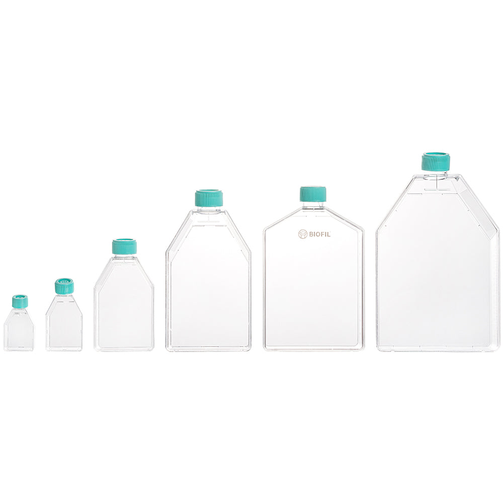 Zellkulturflaschen, 75 cm² Oberfläche, 250 ml Fassungsvermögen, Verschlusskappe, TC-behandelt, steril