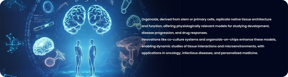 Organoids and 3D Models