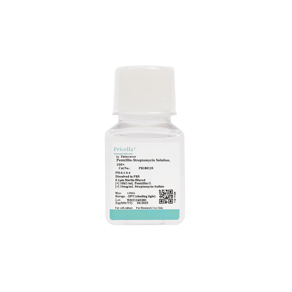 Penicillin-Streptomycin  (100×), 125mL