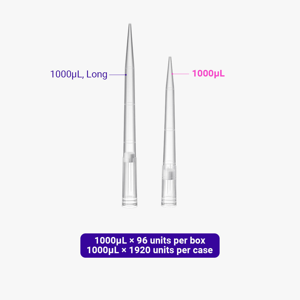 Pipet Micro Tips with Filter, 100-1000 μl, Natural Color, DNase/RNase-Free, Sterile, Plastic rack packing