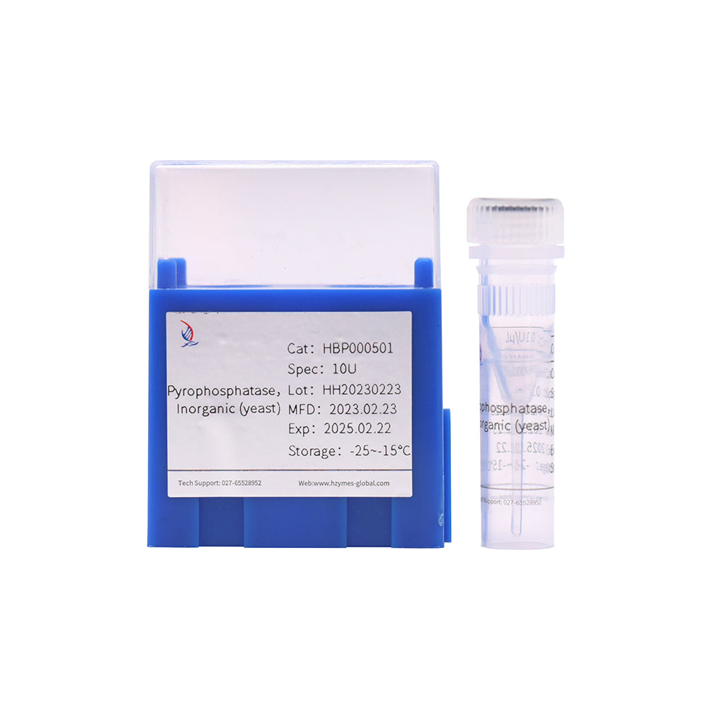 Anorganische Pyrophosphatase (Hefe) – 0,1 Einheiten/μL Aktivität, 10 ml