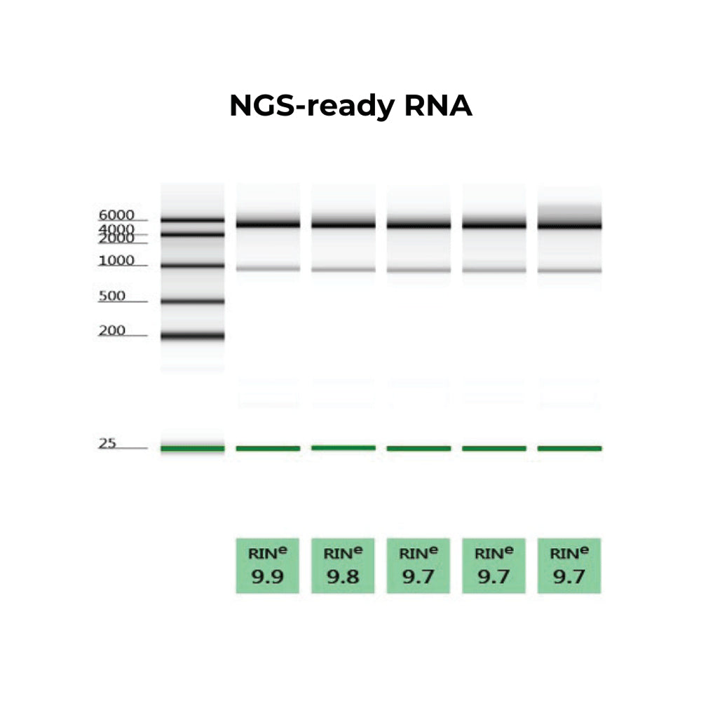 Quick-RNA 96™ Kit (4 x 96 Preps)