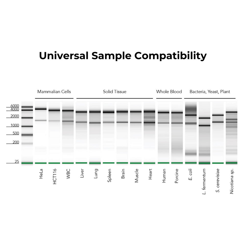 Quick-RNA™ MiniPrep Plus Kit (200 Preps) w/Zymo-Spin™ IIICG Columns (Capped) & Spin-Away™ Filters