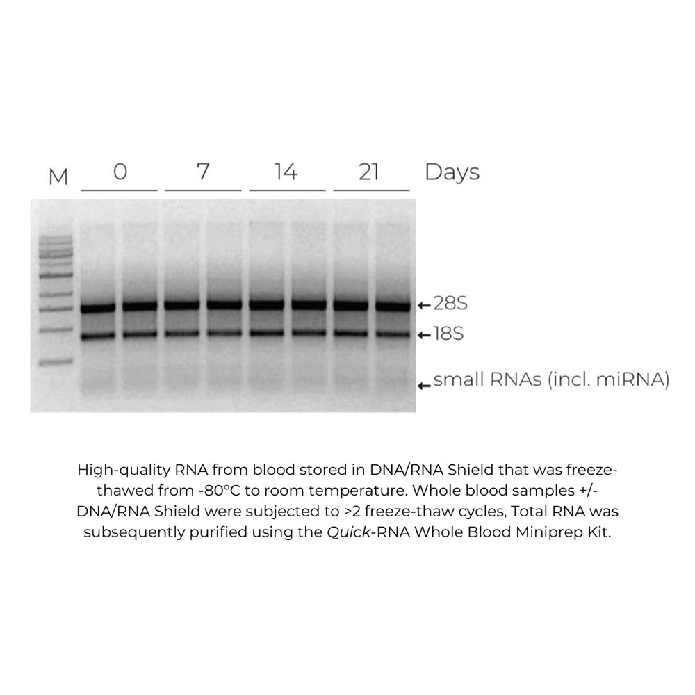 DNA/RNA Shield (25 ml) (2X Concentrate)