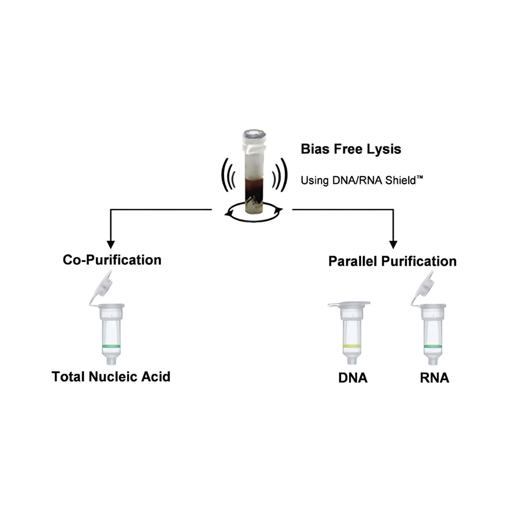 ZymoBIOMICS DNA/RNA Mini Kit (50 preps)